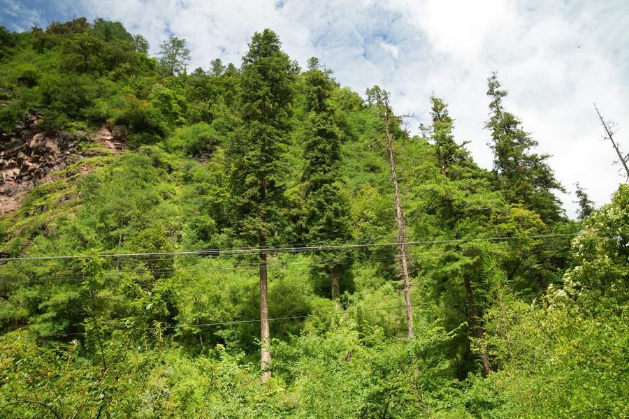 The lived and worked landscape of Liju