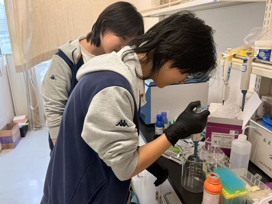 A plot being prepared